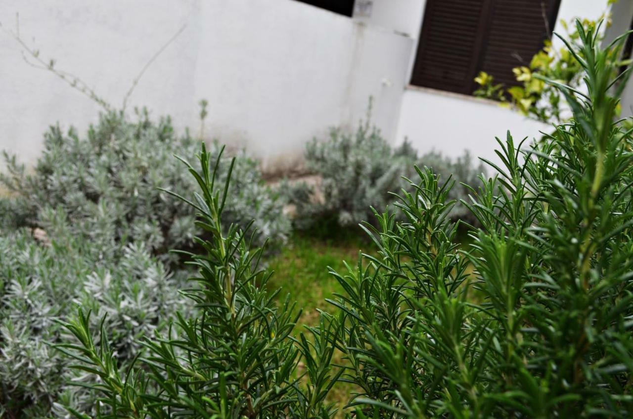 Apartman Roguljic Split Exterior photo
